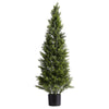 Arya Cedar Topiary Tree | Set of 2 | Black Pot | Lifelike Poly Silk 48"