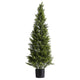Arya Cedar Topiary Tree | Set of 2 | Black Pot | Lifelike Poly Silk 48"