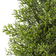 Arya Cedar Topiary Tree | Set of 2 | Black Pot | Lifelike Poly Silk 48"