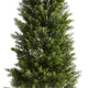 Arya Cedar Topiary Tree | Set of 2 | Black Pot | Lifelike Poly Silk 48"