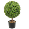 Rambo Boxwood Topiary w Butterflies | Set of 2 | Wood-Poly Silk | Lifelike 22"