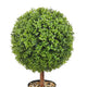 Rambo Boxwood Topiary w Butterflies | Set of 2 | Wood-Poly Silk | Lifelike 22"