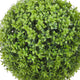 Rambo Boxwood Topiary w Butterflies | Set of 2 | Wood-Poly Silk | Lifelike 22"