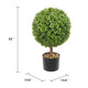 Rambo Boxwood Topiary w Butterflies | Set of 2 | Wood-Poly Silk | Lifelike 22"