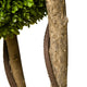 Raha Triple Ball Boxwood Tree in Black Pot | Lifelike Poly Silk 36"