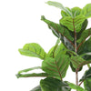 Moona Fiddle Leaf Fig Tree | 28 PEVA Leaves | Lifelike Poly Silk 43"