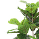 Moona Fiddle Leaf Fig Tree | 28 PEVA Leaves | Lifelike Poly Silk 43"