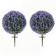 Dammy Eucalyptus Topiary 16" Ball Plants | Set of 2 |  22" H