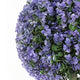 Dammy Eucalyptus Topiary 16" Ball Plants | Set of 2 |  22" H