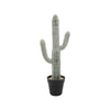 Kristy Artificial Saguaro Cactus Accent Plant in Black Pot | Lifelike 25"