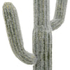 Kristy Artificial Saguaro Cactus Accent Plant in Black Pot | Lifelike 25"
