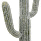 Kristy Artificial Saguaro Cactus Accent Plant in Black Pot | Lifelike 25"