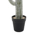 Kristy Artificial Saguaro Cactus Accent Plant in Black Pot | Lifelike 25"