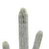 Kristy Artificial Saguaro Cactus Accent Plant in Black Pot | Lifelike 25"