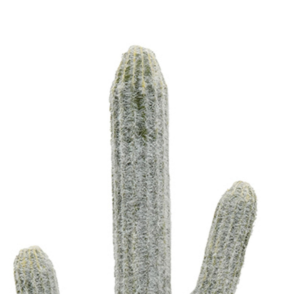 Kristy Artificial Saguaro Cactus Accent Plant in Black Pot | Lifelike 25"