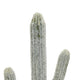 Kristy Artificial Saguaro Cactus Accent Plant in Black Pot | Lifelike 25"