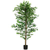 Carla Artificial Ficus Tree with PEVA Leaves | Black Pot | Lifelike 71"