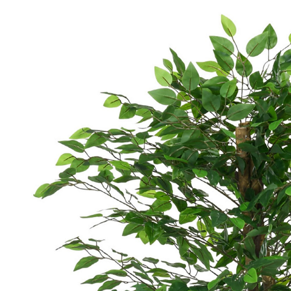 Carla Artificial Ficus Tree with PEVA Leaves | Black Pot | Lifelike 71"