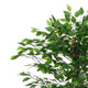 Carla Artificial Ficus Tree with PEVA Leaves | Black Pot | Lifelike 71"