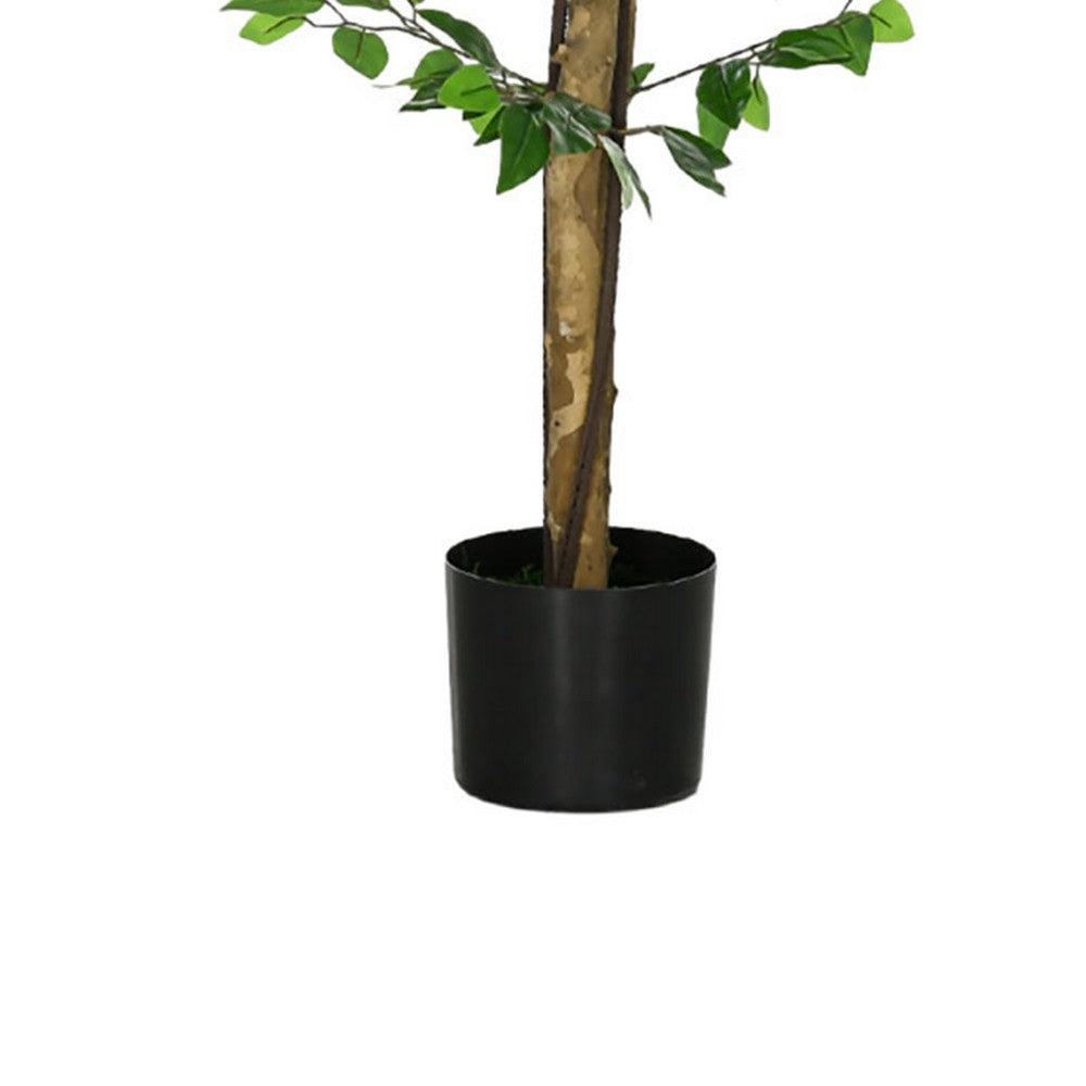 Carla Artificial Ficus Tree with PEVA Leaves | Black Pot | Lifelike 71"