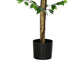 Carla Artificial Ficus Tree with PEVA Leaves | Black Pot | Lifelike 71"
