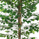 Carla Artificial Ficus Tree with PEVA Leaves | Black Pot | Lifelike 71"