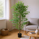 Carla Artificial Ficus Tree with PEVA Leaves | Black Pot | Lifelike 71"