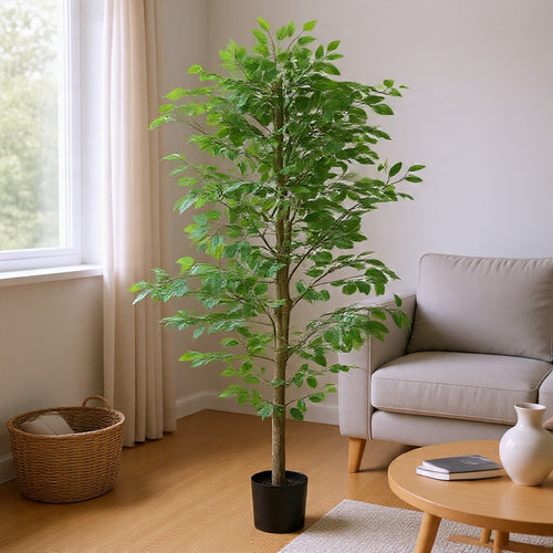 Carla Artificial Ficus Tree with PEVA Leaves | Black Pot | Lifelike 71"