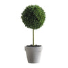 Kendy Faux Mini Topiary Plant | Set of 3 | Cream Pots | Lifelike Poly Silk 10"