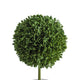Kendy Faux Mini Topiary Plant | Set of 3 | Cream Pots | Lifelike Poly Silk 10"