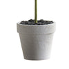 Kendy Faux Mini Topiary Plant | Set of 3 | Cream Pots | Lifelike Poly Silk 10"