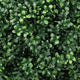 Jese Faux Boxwood Ball Topiary Tree | Set of 2 | Faux Moss | Lifelike 21"