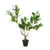 Bonny Artificial Lemon Tree with Lifelike Lemon | Black Pot | Lifelike 32"