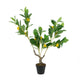 Bonny Artificial Lemon Tree with Lifelike Lemon | Black Pot | Lifelike 32"