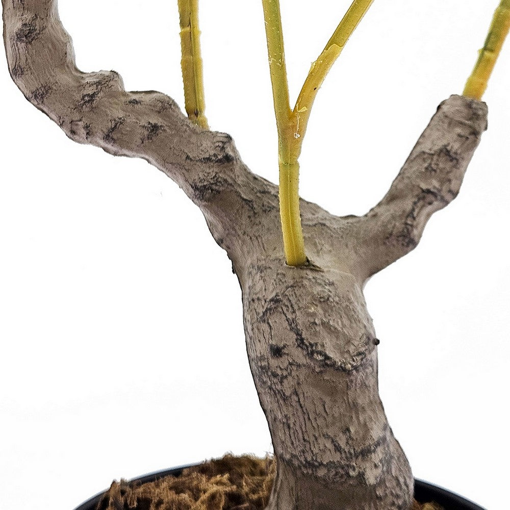 Bonny Artificial Lemon Tree with Lifelike Lemon | Black Pot | Lifelike 32"
