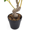 Bonny Artificial Lemon Tree with Lifelike Lemon | Black Pot | Lifelike 32"