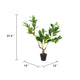 Bonny Artificial Lemon Tree with Lifelike Lemon | Black Pot | Lifelike 32"