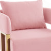 Jiya Accent Club Chair Set of 2 | Sponge Fill Pink Velvet | Gold Legs