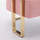 Sery Accent Sofa Chair Set of 2 | Pink Teddy Fleece | Gold Square Legs