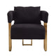 Sery Accent Sofa Chair Set of 2 | Black Teddy Fleece | Gold Square Legs