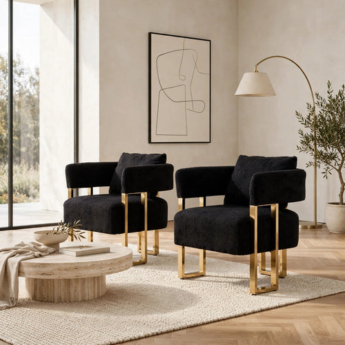 Sery Accent Sofa Chair Set of 2 | Black Teddy Fleece | Gold Square Legs