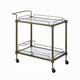 Dity Serving Cart | 2 Mirror Glass Shelves | Antique Brass Metal 33"