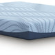 Ryna Memory Foam Full Mattress | Firm Foam Support | Blue Fabric 8"