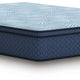 Pmy Hybrid Twin Mattress with Cooling Coil | Edge Support System | Blue 12"