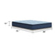 Pmy Hybrid Twin Mattress with Cooling Coil | Edge Support System | Blue 12"