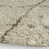 Wreno 8x10 Large Shag Area Rug with Cream Gridwork Pattern | Brown PET