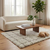 Wreno 8x10 Large Shag Area Rug with Cream Gridwork Pattern | Brown PET
