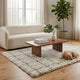 Wreno 8x10 Large Shag Area Rug with Cream Gridwork Pattern | Brown PET