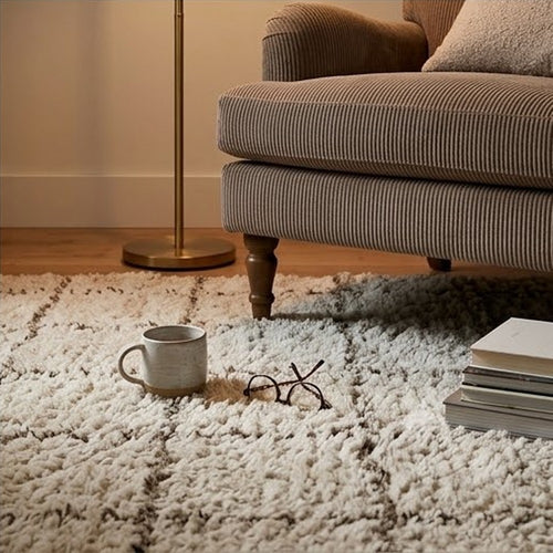 Wreno 8x10 Large Shag Area Rug with Cream Gridwork Pattern | Brown PET