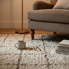 Wreno 8x10 Large Shag Area Rug with Cream Gridwork Pattern | Brown PET